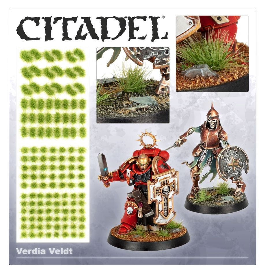 Warhammer Colour – Touffes d’Herbes Verdia Veldt (66-25)