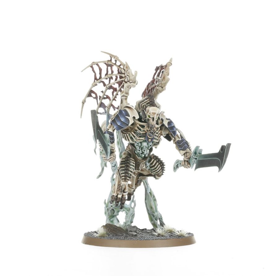 Warhammer Age of Sigmar : Phalange de la Myriade du Néant (O/B) 94-15