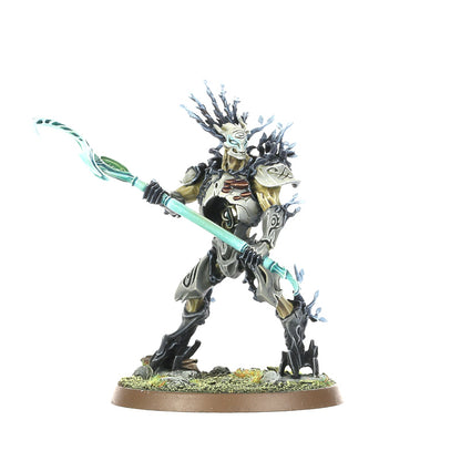 Age of Sigmar : Sylvaneth – Kurnoth Hunters 92-13