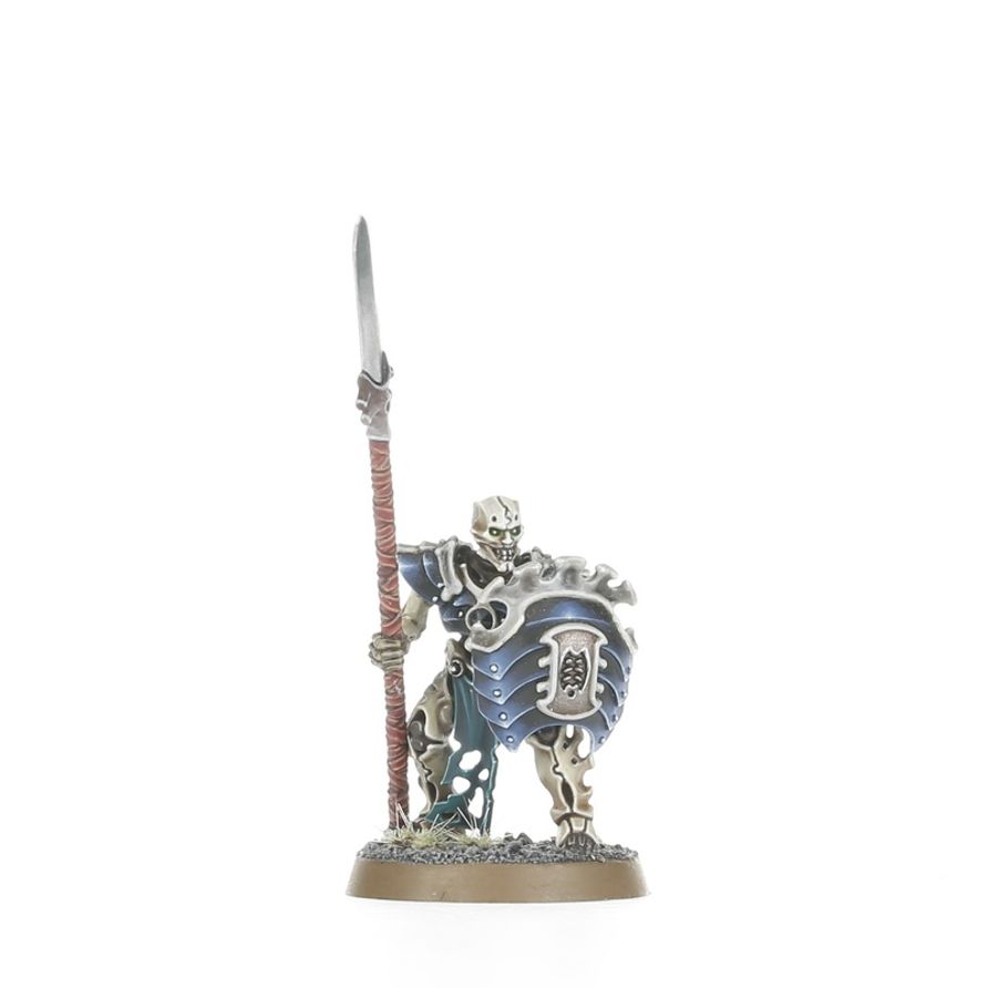 Warhammer Age of Sigmar : Phalange de la Myriade du Néant (O/B) 94-15