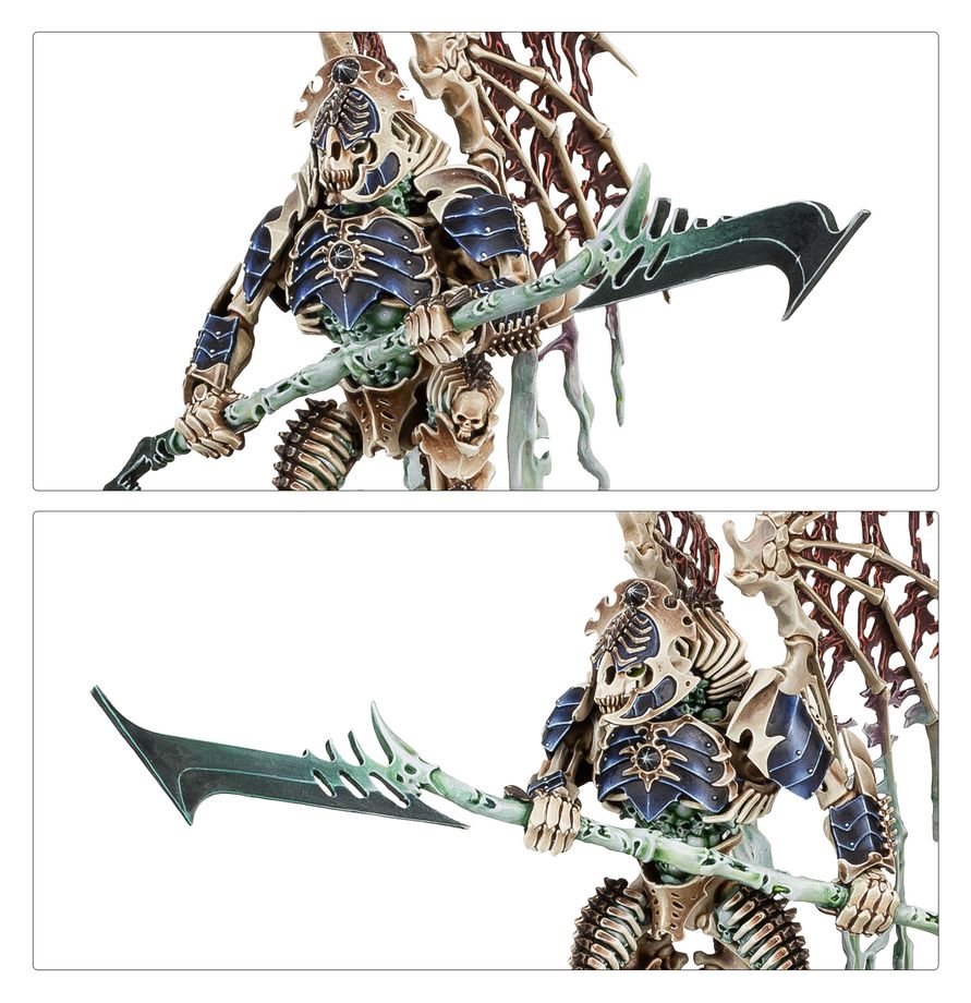 Warhammer Age of Sigmar : Phalange de la Myriade du Néant (O/B) 94-15