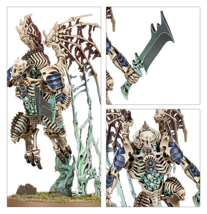 Warhammer Age of Sigmar : Phalange de la Myriade du Néant (O/B) 94-15