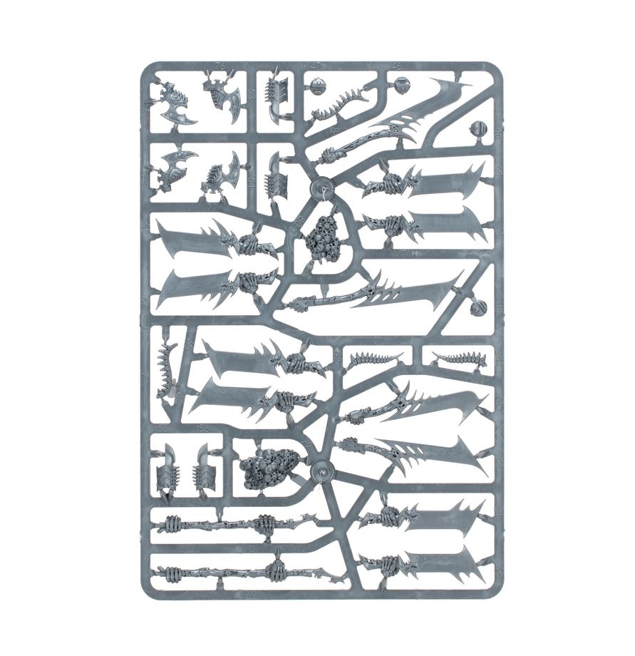 Warhammer Age of Sigmar : Phalange de la Myriade du Néant (O/B) 94-15