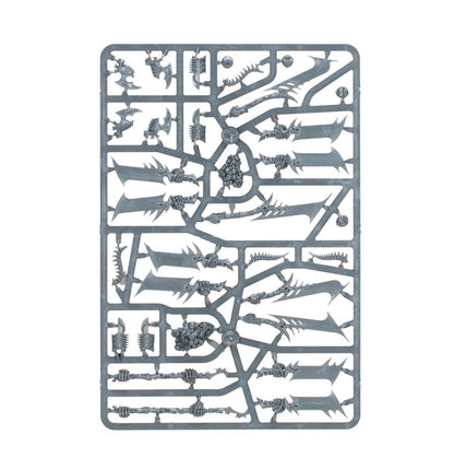 Warhammer Age of Sigmar : Phalange de la Myriade du Néant (O/B) 94-15