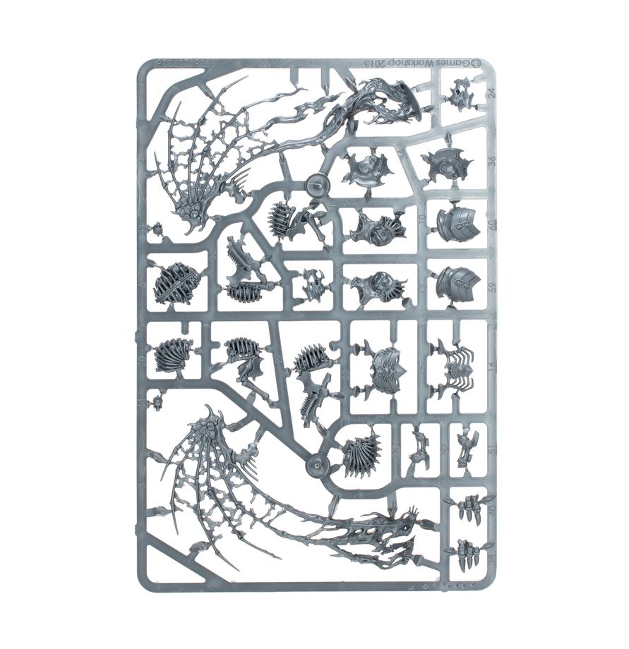 Warhammer Age of Sigmar : Phalange de la Myriade du Néant (O/B) 94-15