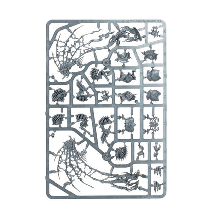 Warhammer Age of Sigmar : Phalange de la Myriade du Néant (O/B) 94-15