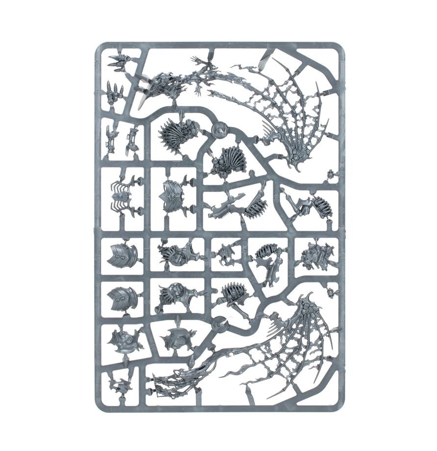 Warhammer Age of Sigmar : Phalange de la Myriade du Néant (O/B) 94-15