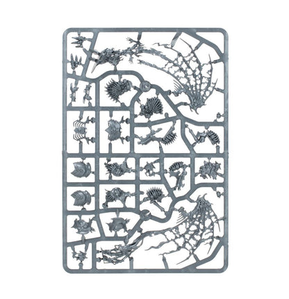 Warhammer Age of Sigmar : Phalange de la Myriade du Néant (O/B) 94-15