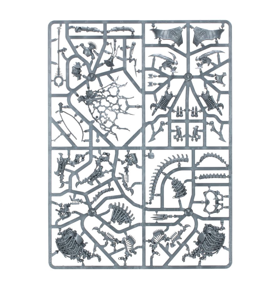 Warhammer Age of Sigmar : Phalange de la Myriade du Néant (O/B) 94-15