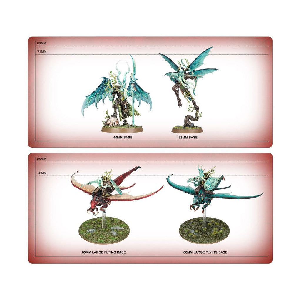 Age of Sigmar : Fer de Lance – Sylvaneth – Volée d'Ailes Fielleuses 70-922