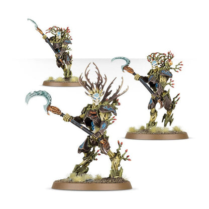 Age of Sigmar : Sylvaneth – Kurnoth Hunters 92-13