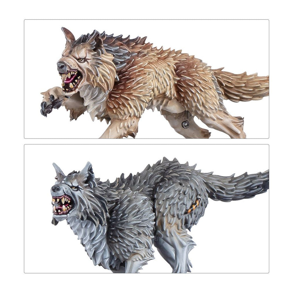 Warhammer 40k Preneurs de Têtes Gardes Loups 53-29
