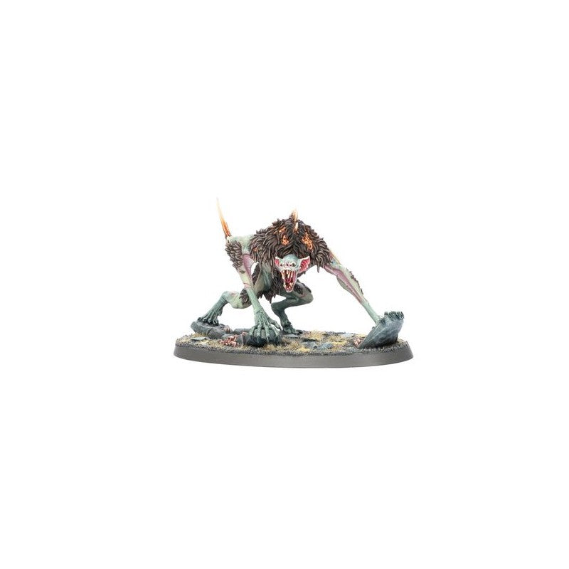 Age Of Sigmar – Set d'Armée : Cours de Mangechairs (Édition Limitée) 91-44